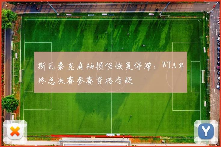 斯瓦泰克肩袖损伤恢复停滞，WTA年终总决赛参赛资格存疑